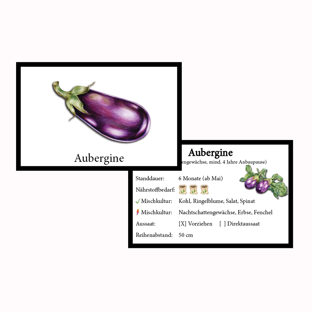 Aubergine Gemüse-Anbau-Karte