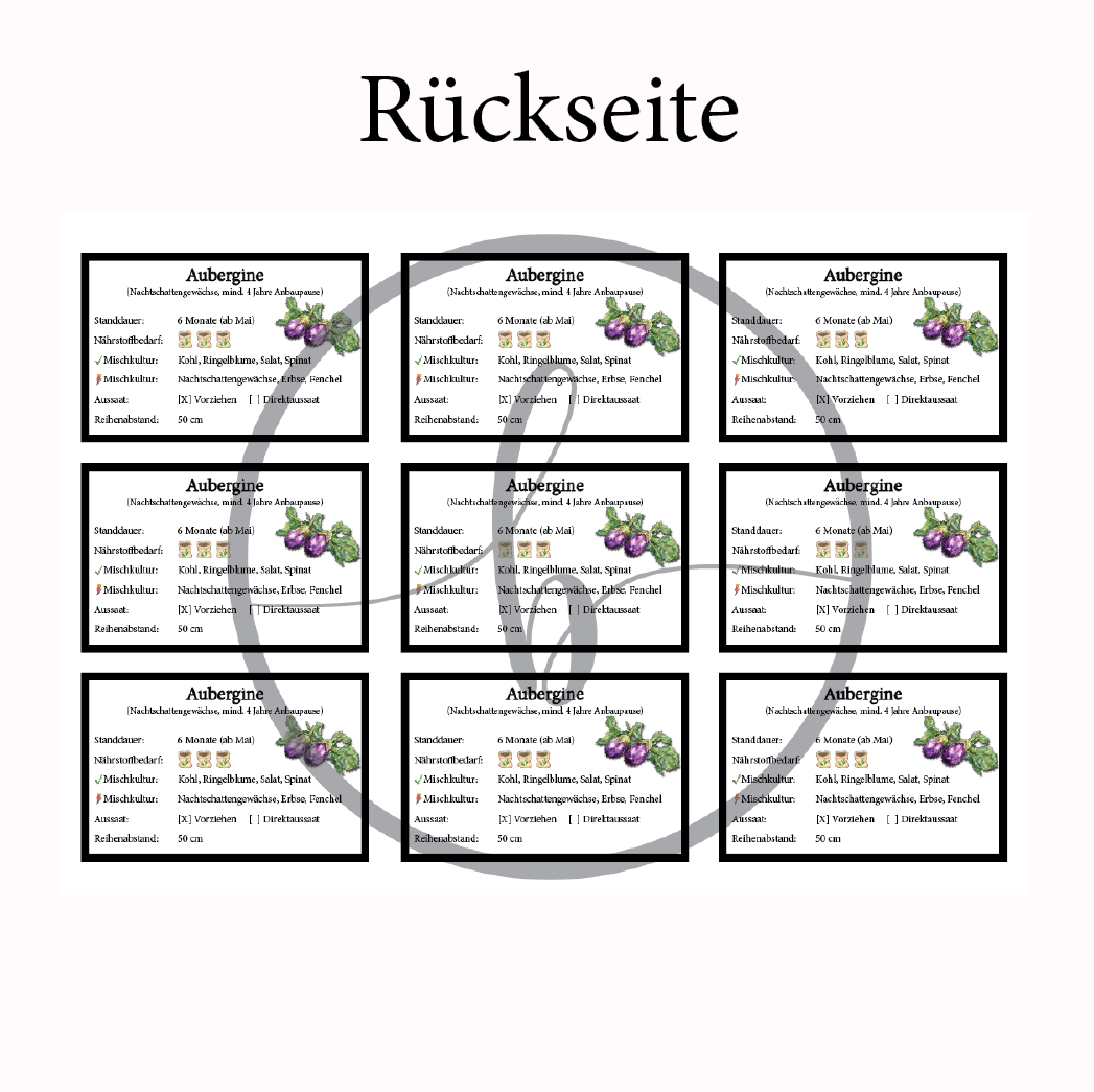 Aubergine Gemüse-Anbau-Karte – Bild 4