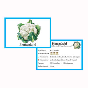 Blumenkohl Gemüse-Anbau-Karte