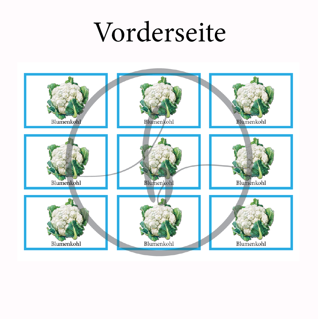 Blumenkohl Gemüse-Anbau-Karte – Bild 3