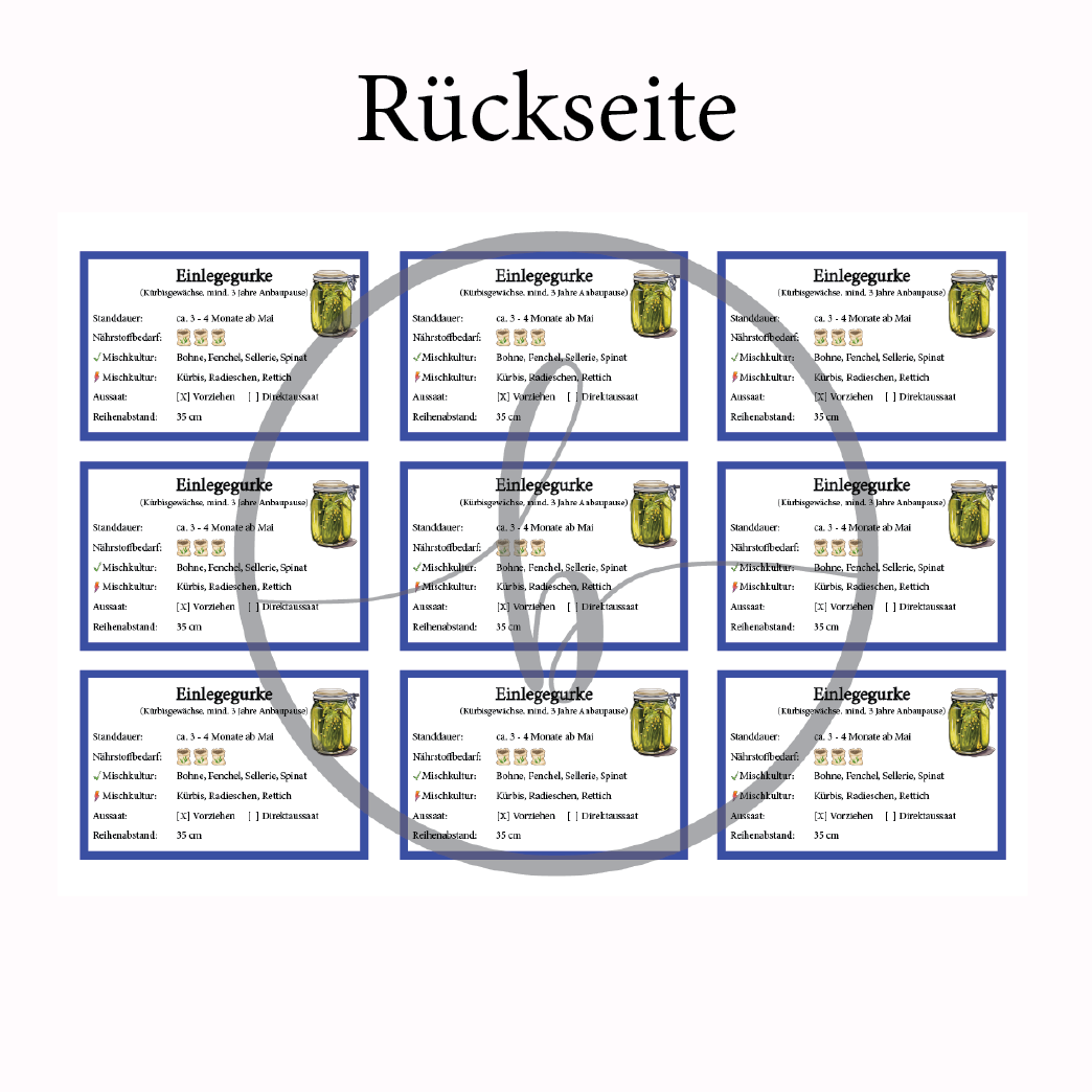 Einlegegurke Gemüse-Anbau-Karte – Bild 4