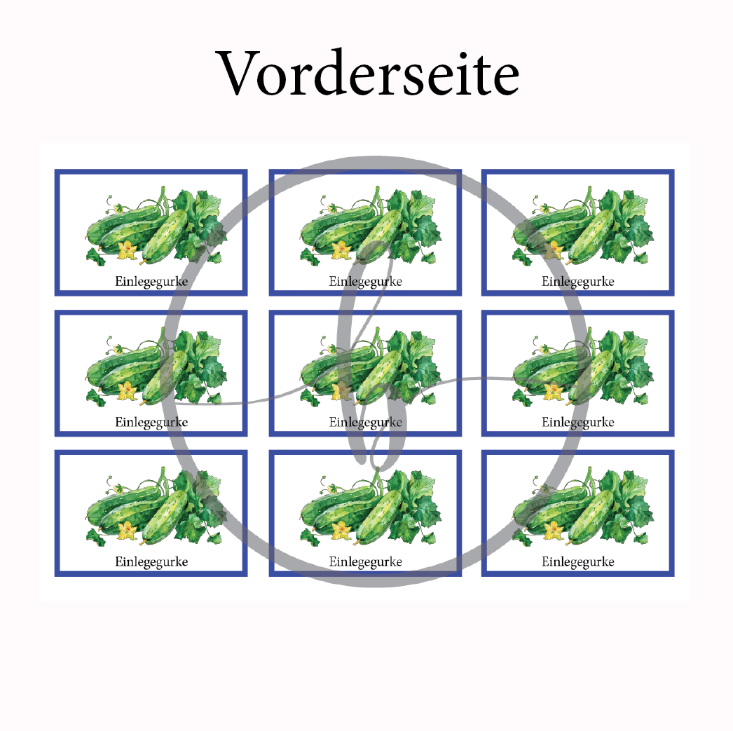 Einlegegurke Gemüse-Anbau-Karte – Bild 3