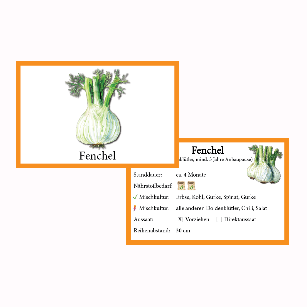 Fenchel Gemüse-Anbau-Karte