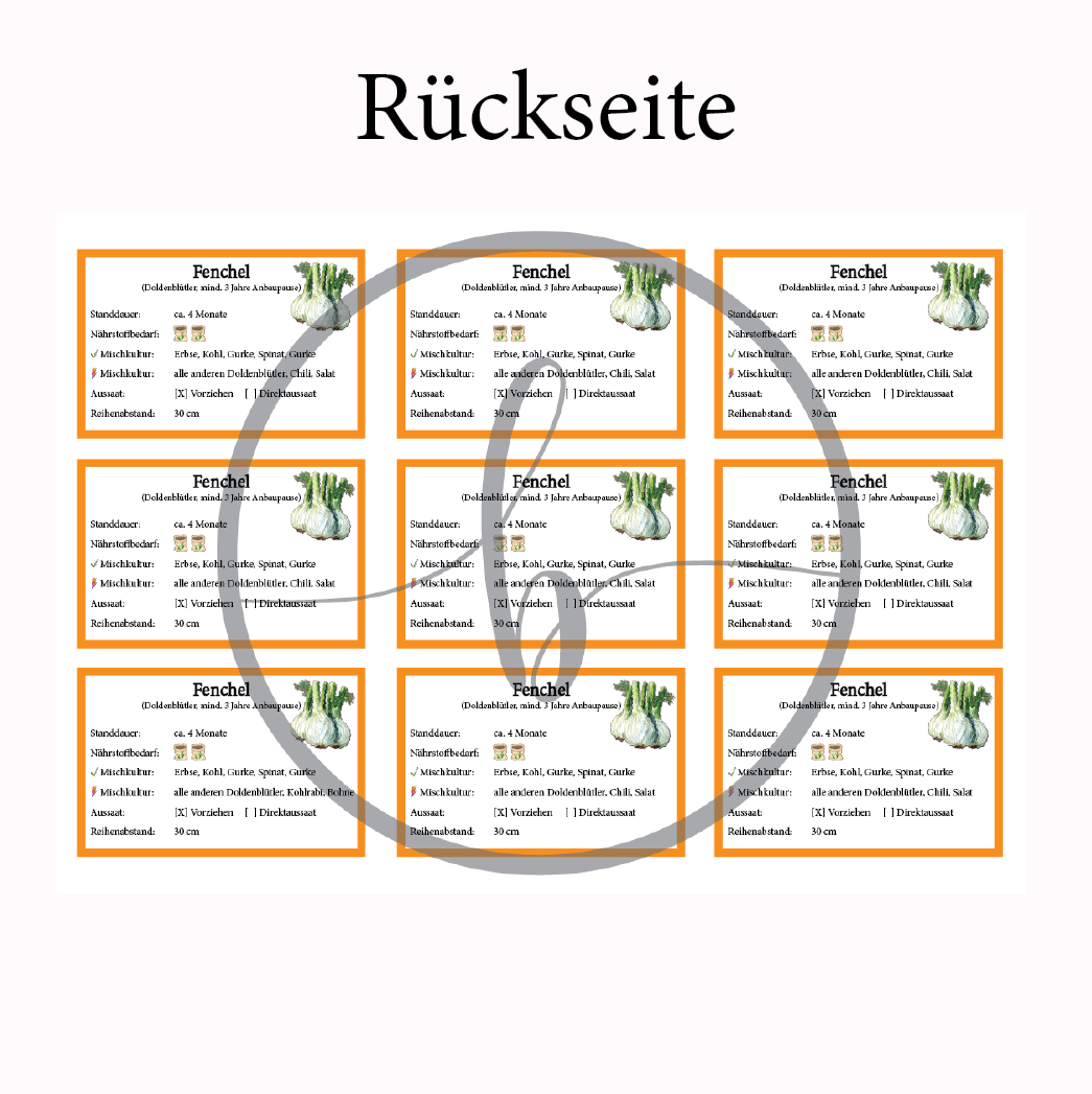 Fenchel Gemüse-Anbau-Karte – Bild 4