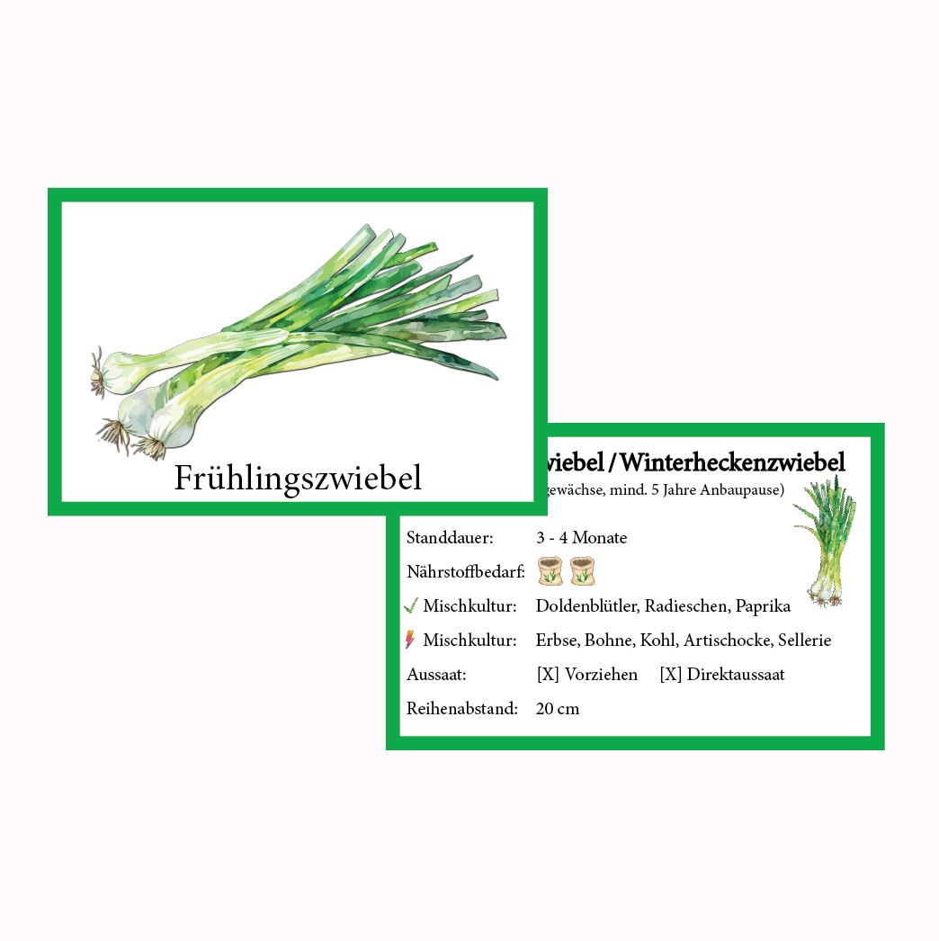 Frühlingszwiebel Gemüse-Anbau-Karte