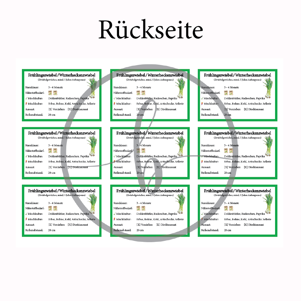 Frühlingszwiebel Gemüse-Anbau-Karte – Bild 4