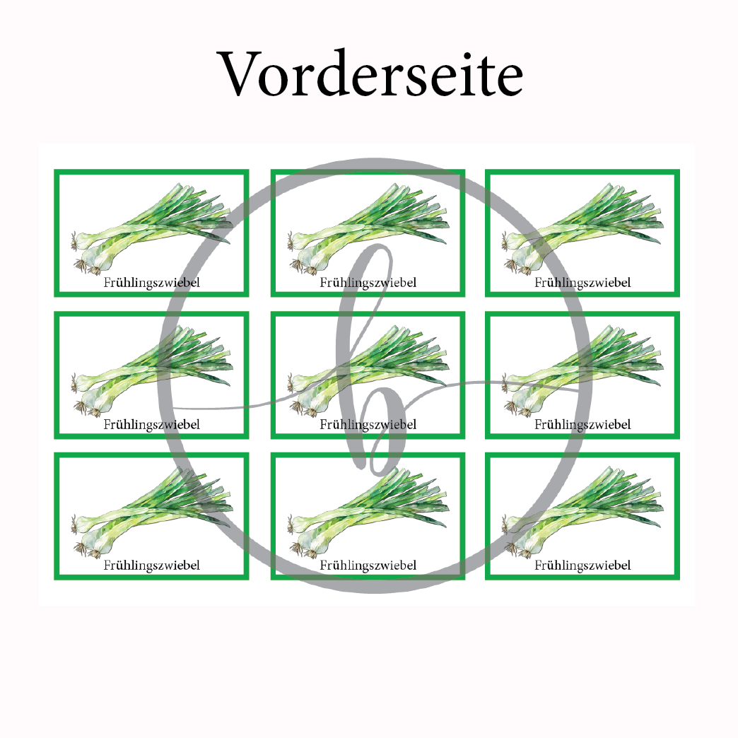 Frühlingszwiebel Gemüse-Anbau-Karte – Bild 3