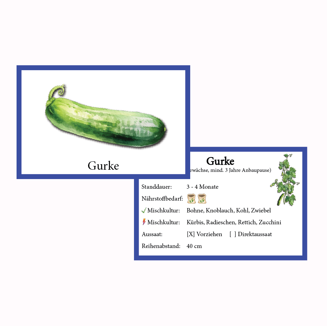 Gurke Gemüse-Anbau-Karte