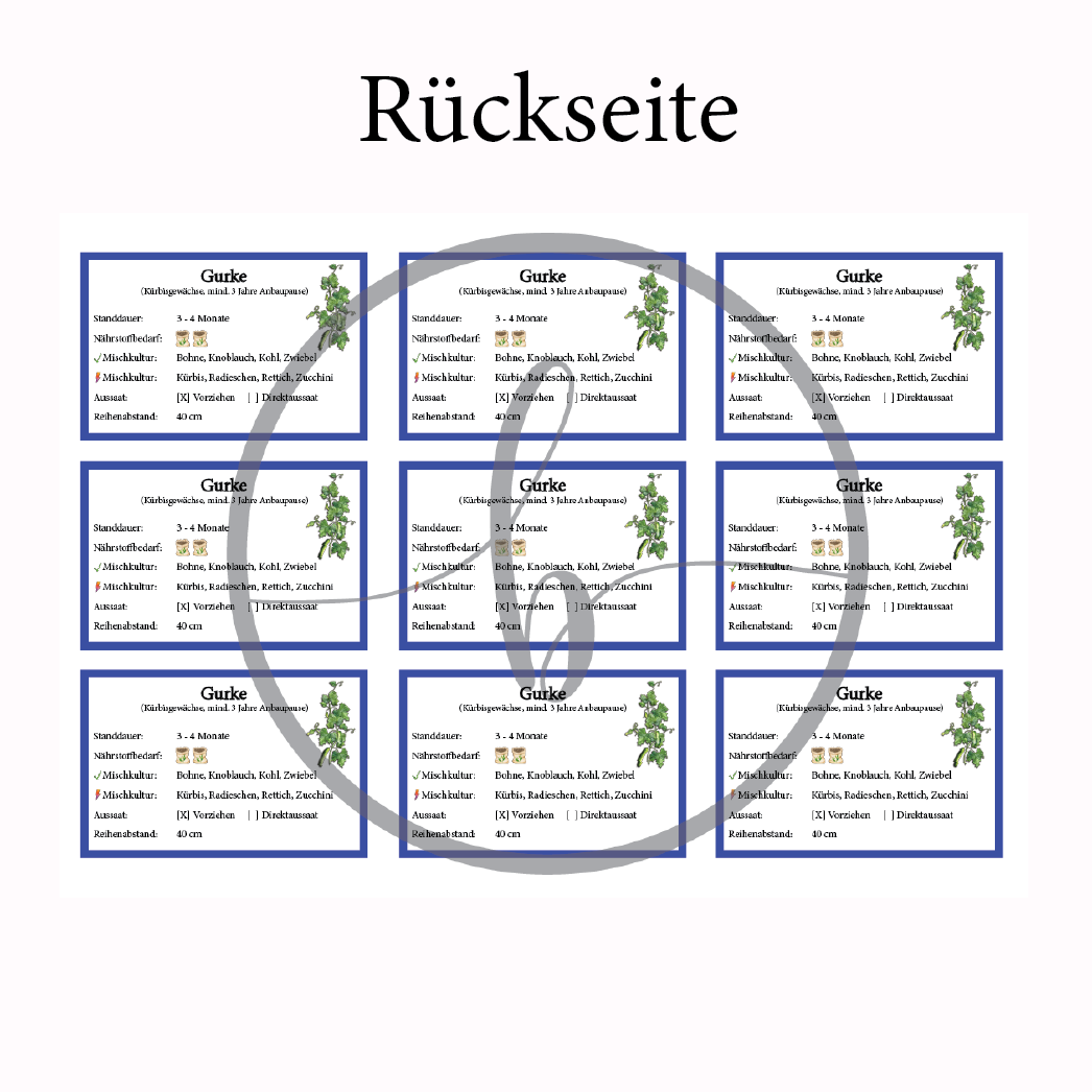 Gurke Gemüse-Anbau-Karte – Bild 4