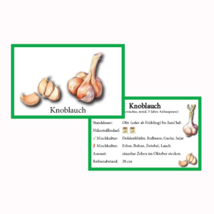 Knoblauch Gemüse-Anbau-Karte