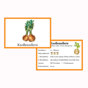 Knollensellerie Gemüse-Anbau-Karte