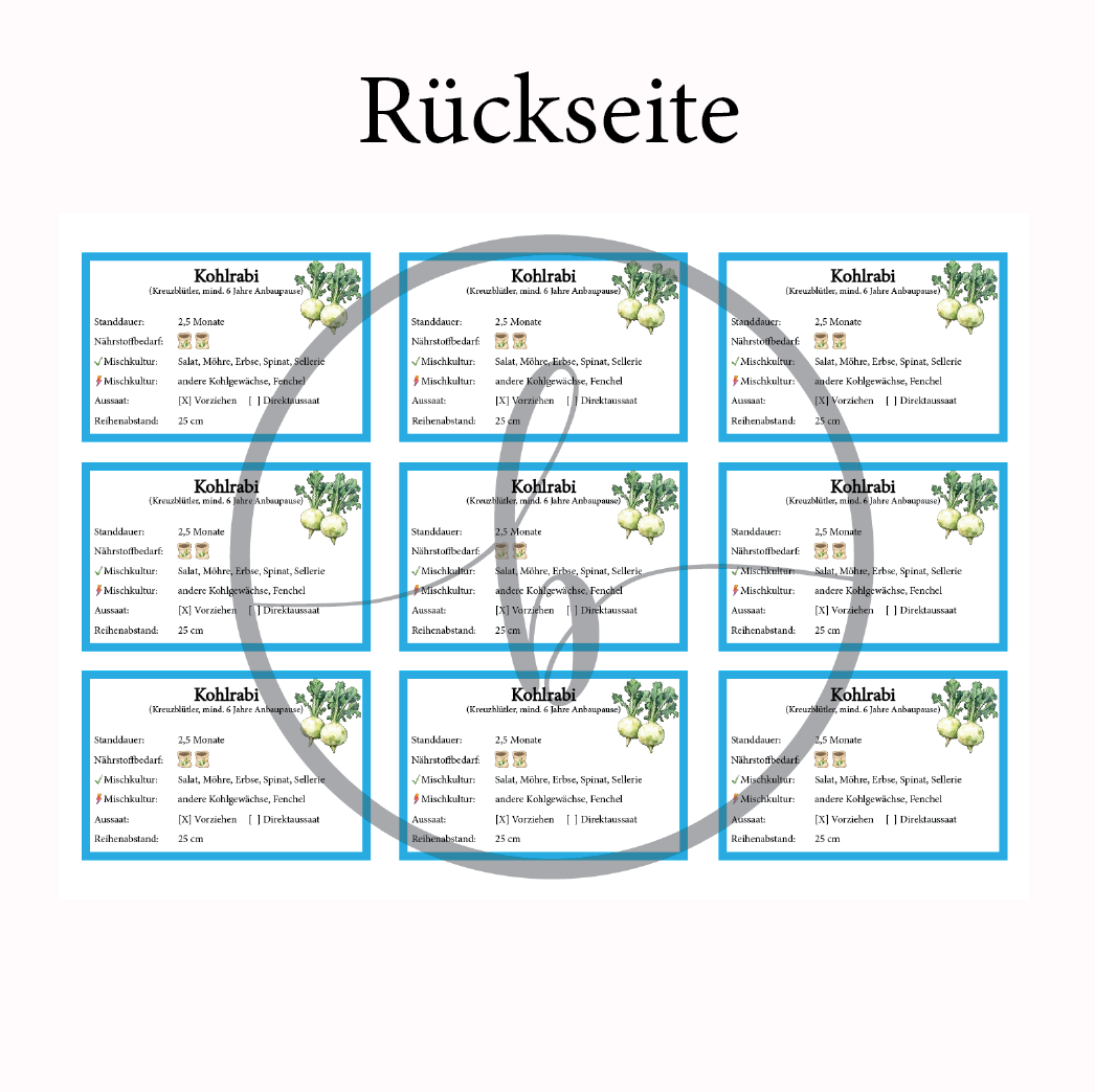 Kohlrabi Gemüse-Anbau-Karte – Bild 4