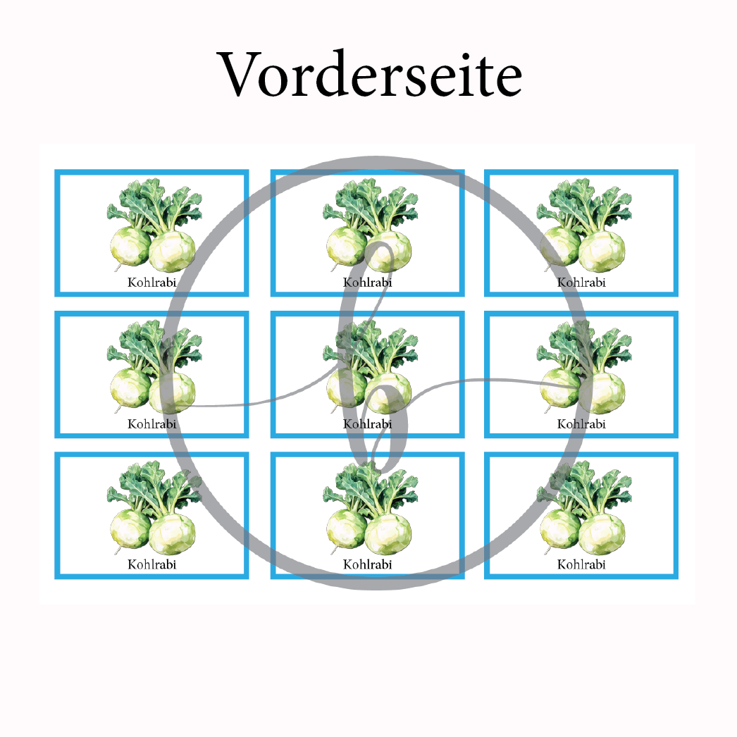 Kohlrabi Gemüse-Anbau-Karte – Bild 3
