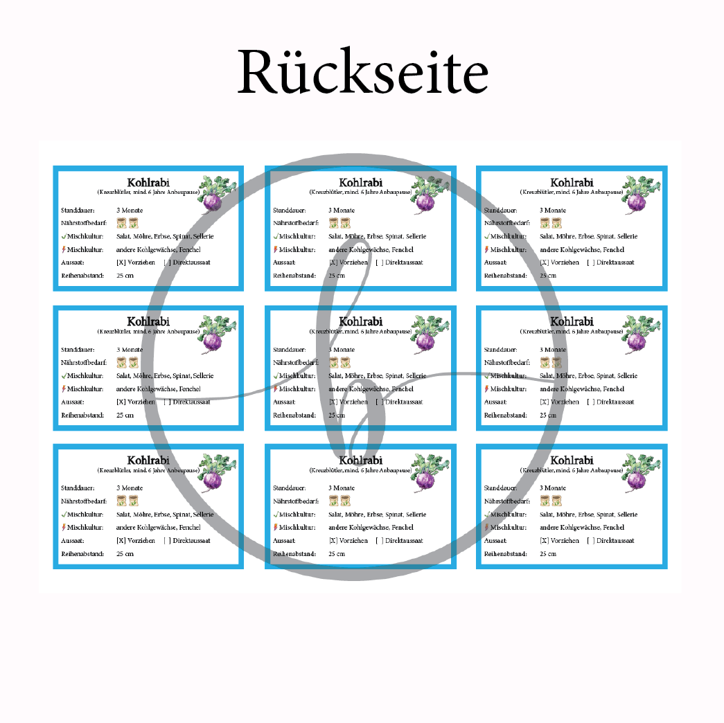 Kohlrabi blau Gemüse-Anbau-Karte – Bild 4