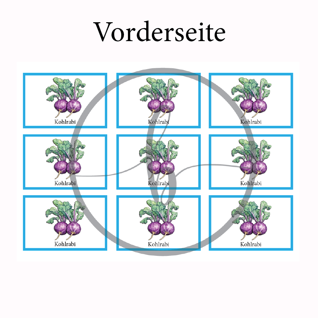 Kohlrabi blau Gemüse-Anbau-Karte – Bild 3