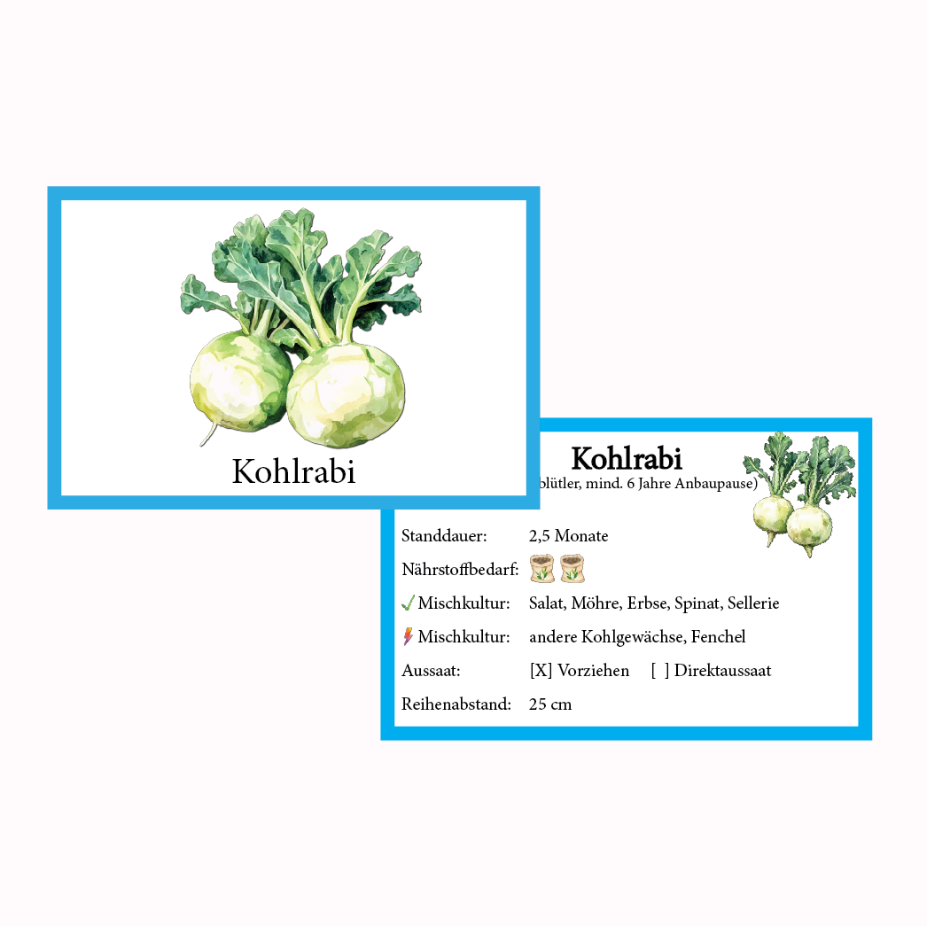 Kohlrabi Gemüse-Anbau-Karte