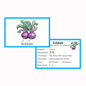 Kohlrabi blau Gemüse-Anbau-Karte