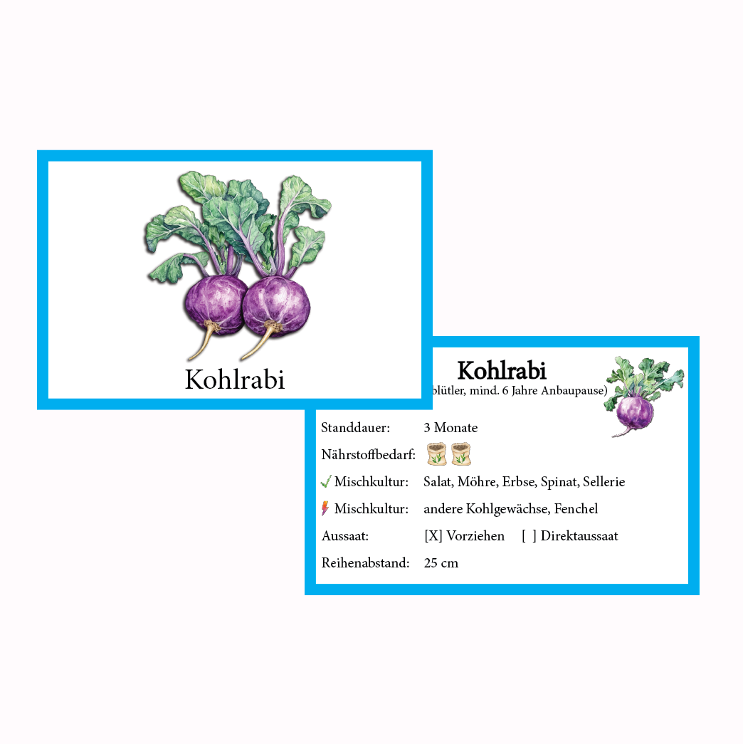 Kohlrabi blau Gemüse-Anbau-Karte