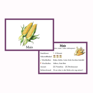 Mais Gemüse-Anbau-Karte