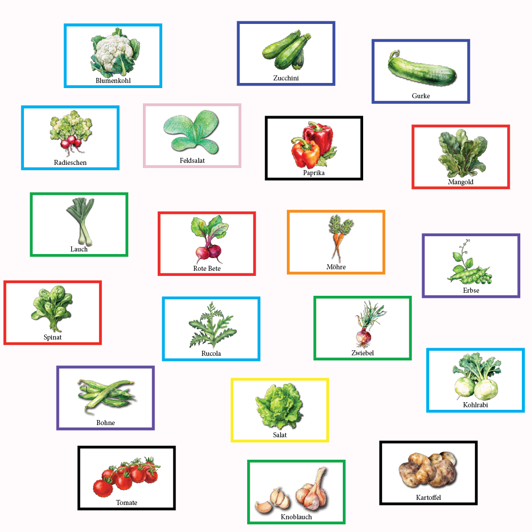 Gemüse-Basis-Set – Bild 2