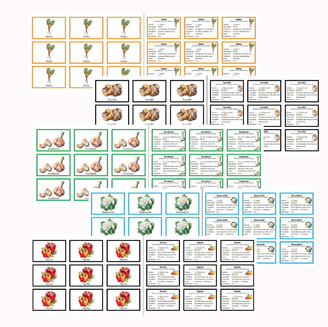 Gemüse-Basis-Set – Bild 3