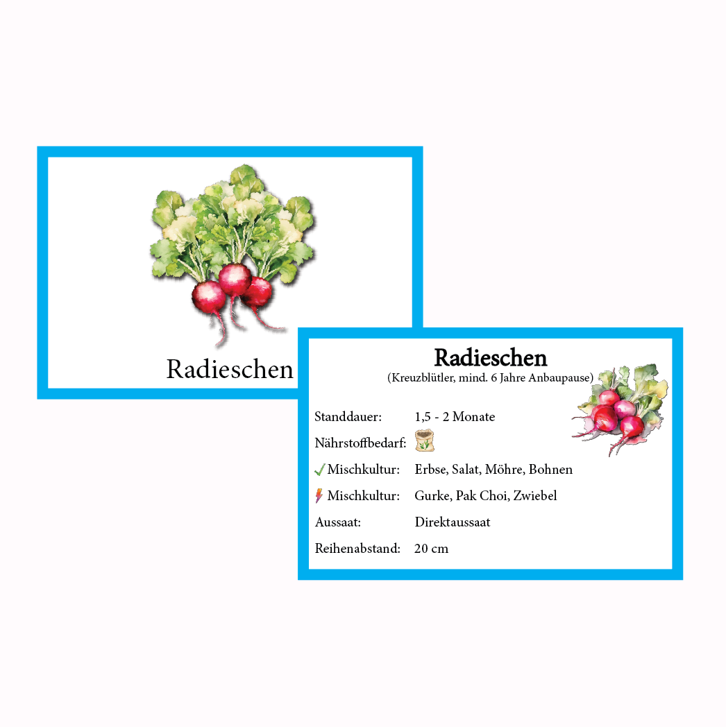 Radieschen Gemüse-Anbau-Karte