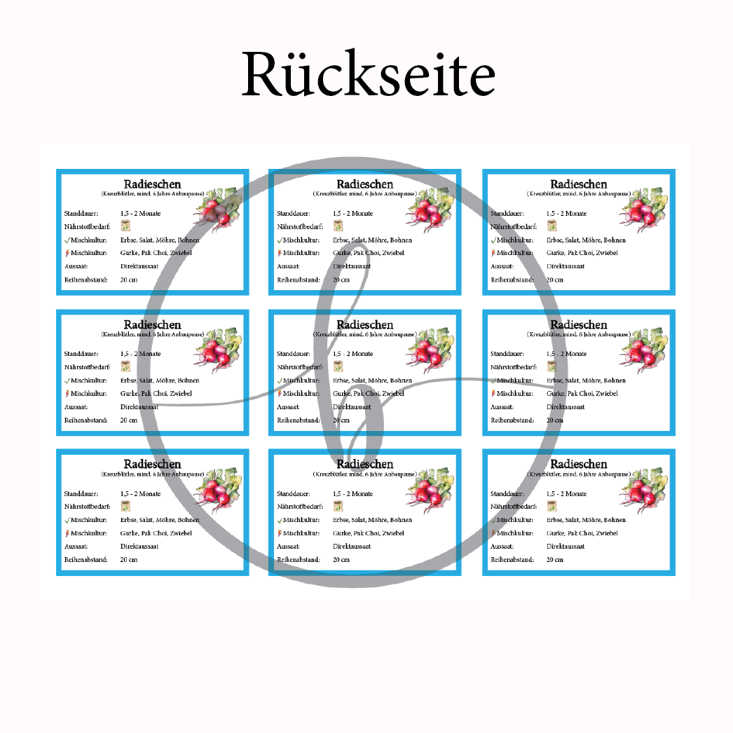 Radieschen Gemüse-Anbau-Karte – Bild 4