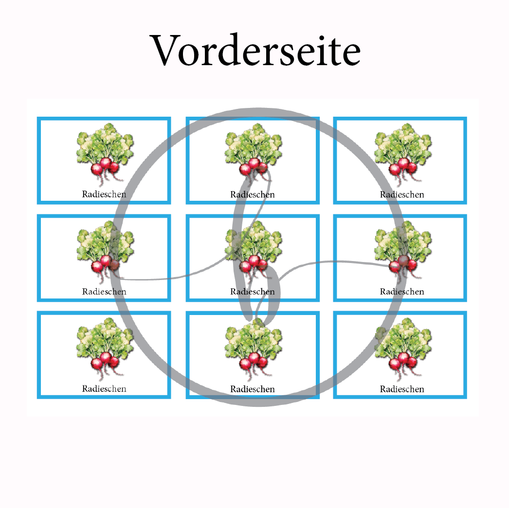 Radieschen Gemüse-Anbau-Karte – Bild 3