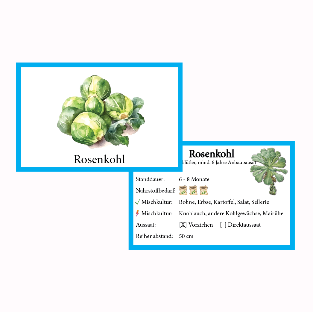 Rosenkohl Gemüse-Anbau-Karte