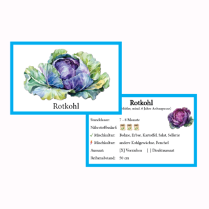 Rotkohl Gemüse-Anbau-Karte