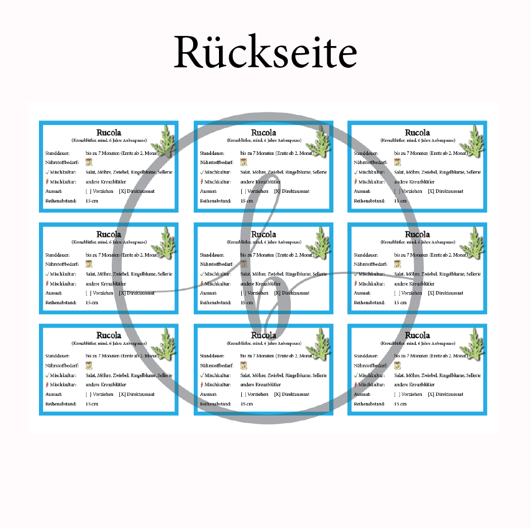 Rucola Gemüse-Anbau-Karte – Bild 4