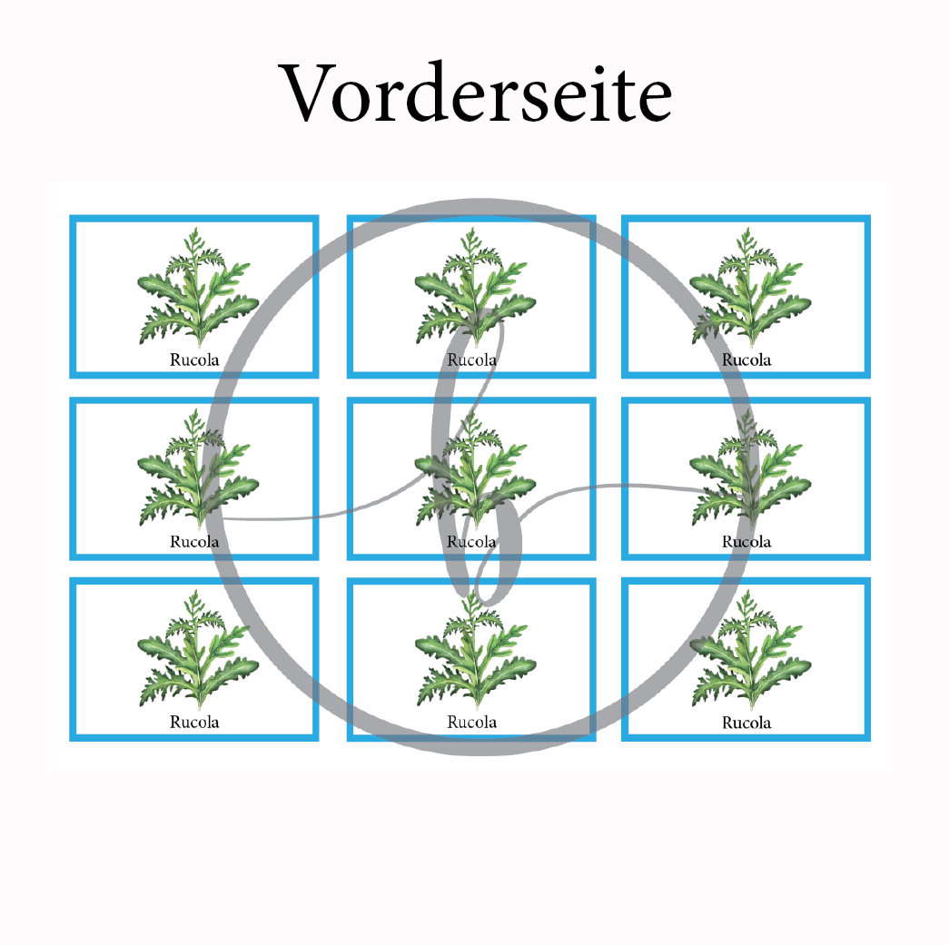 Rucola Gemüse-Anbau-Karte – Bild 3