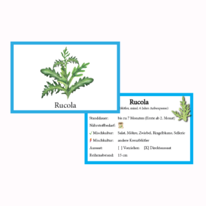 Rucola Gemüse-Anbau-Karte