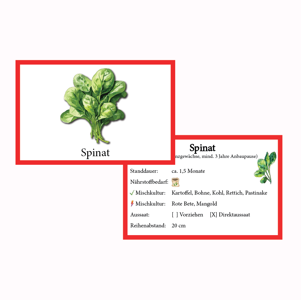 Spinat Gemüse-Anbau-Karte