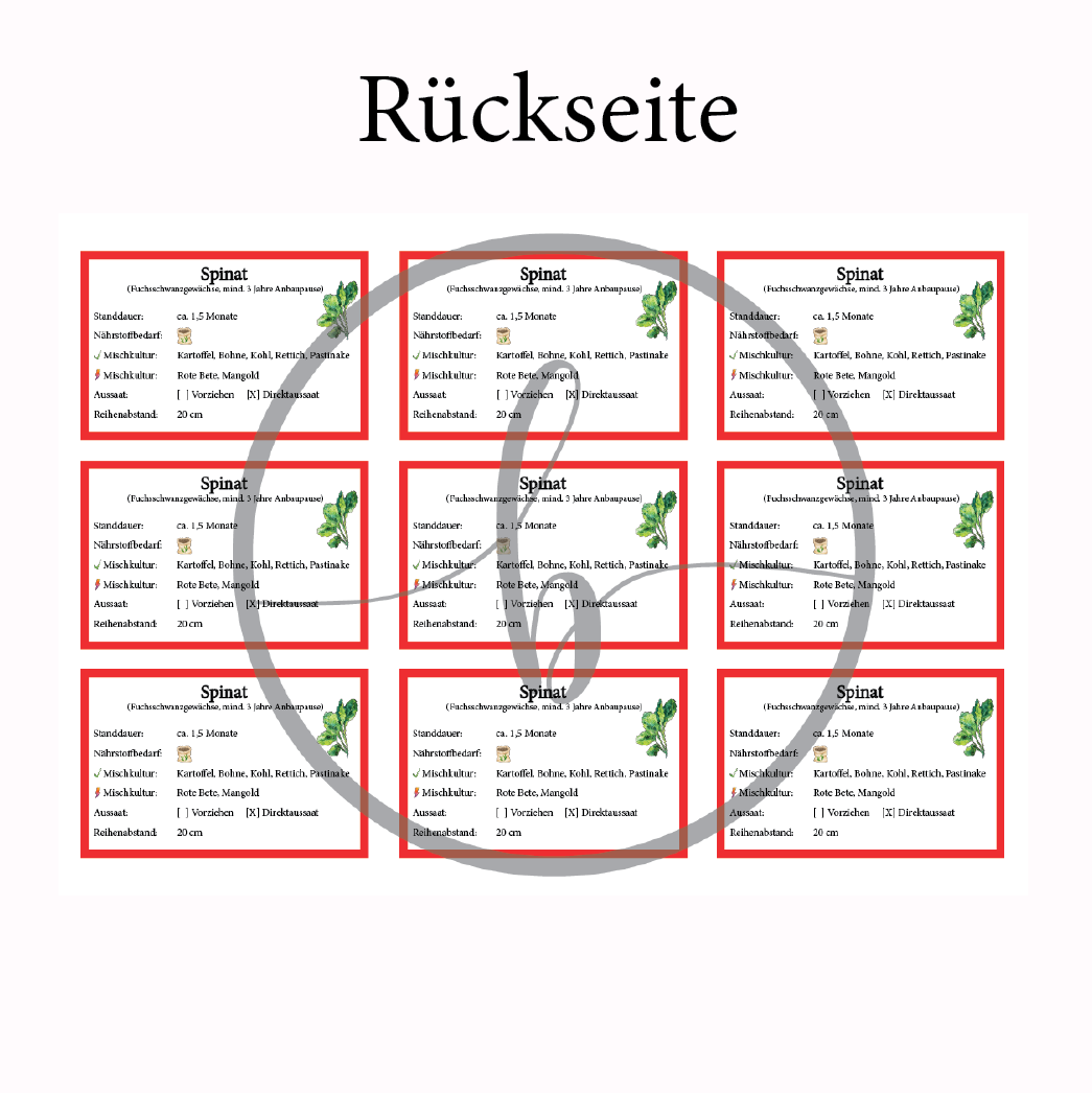 Spinat Gemüse-Anbau-Karte – Bild 4