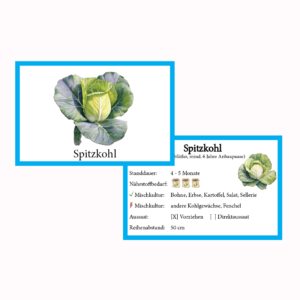 Spitzkohl Gemüse-Anbau-Karte