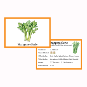 Stangensellerie Gemüse-Anbau-Karte