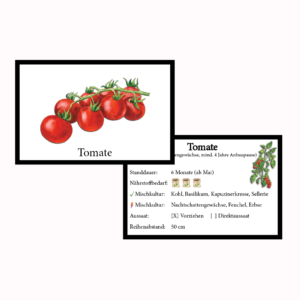 Tomate Gemüse-Anbau-Karte