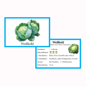 Weißkohl Gemüse-Anbau-Karte