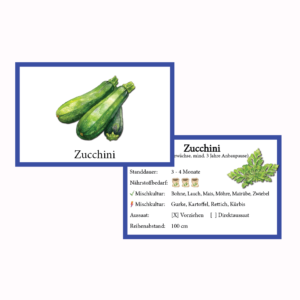 Zucchini Gemüse-Anbau-Karte