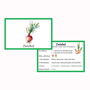 Zwiebel gelb Gemüse-Anbau-Karte